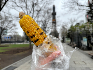 大通公園とうきびワゴン 公式@toukibi_wagonX