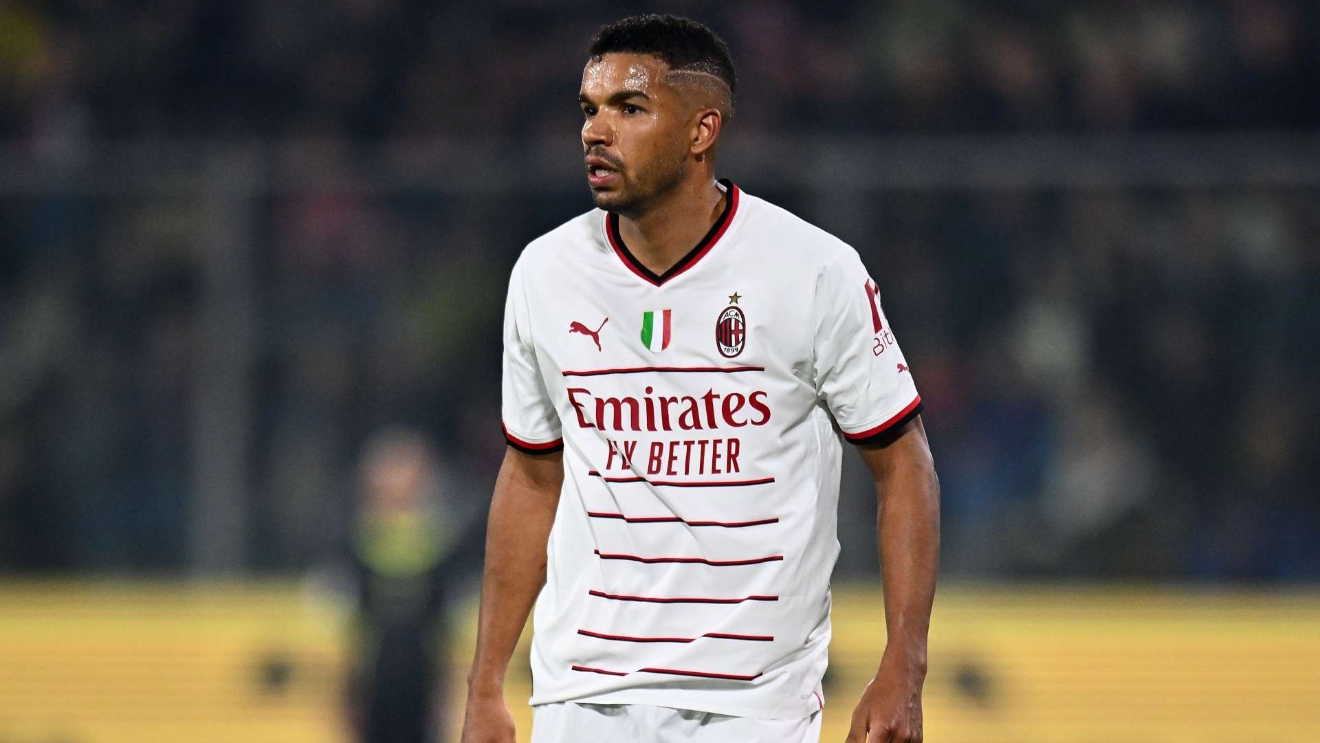 希少 ジェノア 65ロヴェッラ