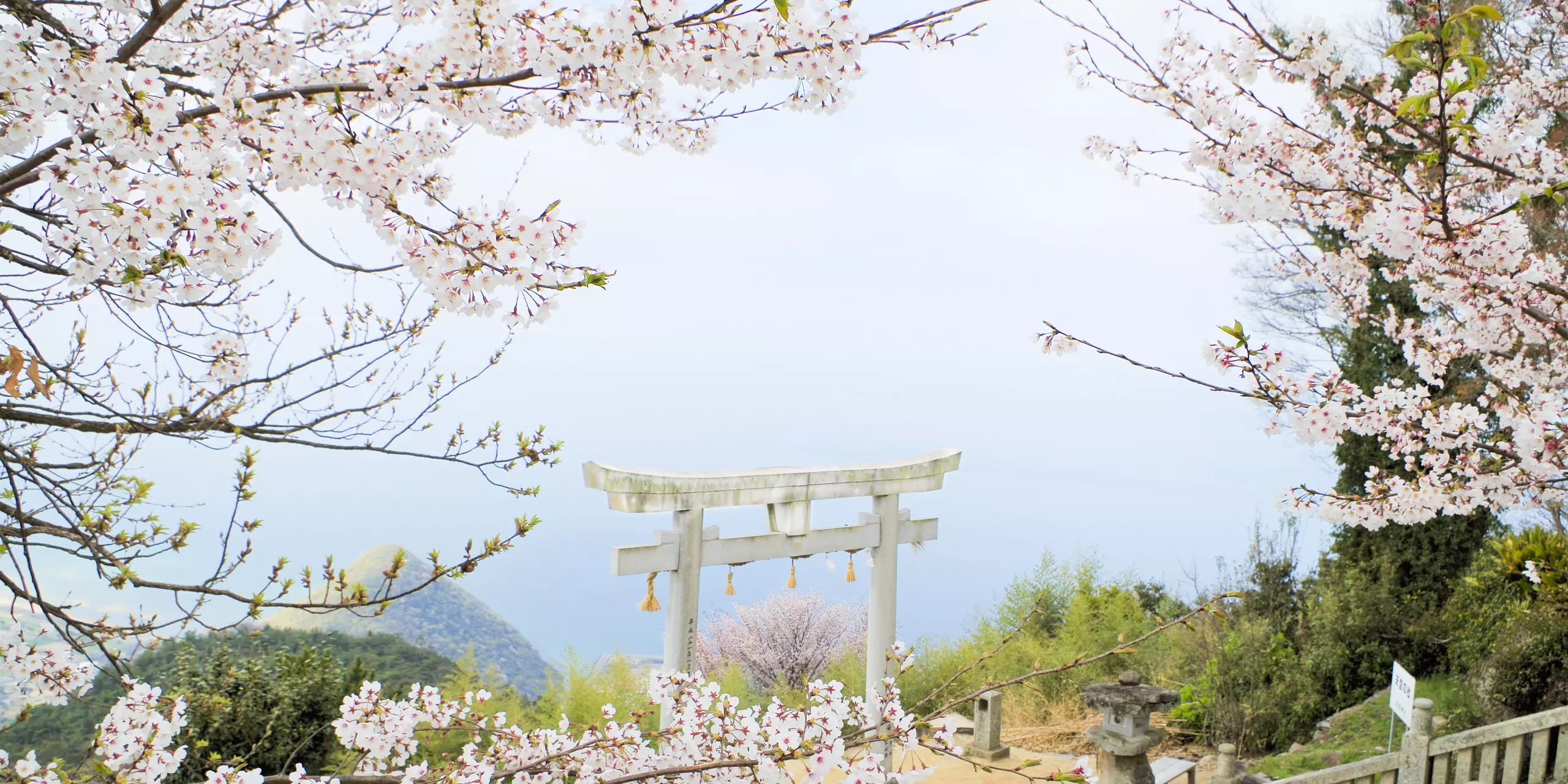 四国にある天空の鳥居！高屋神社で夜景を撮ってきた話