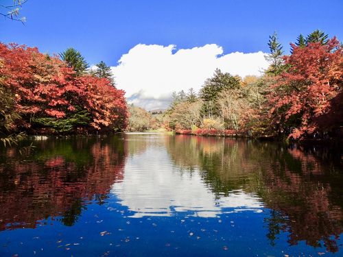 軽井沢雲場池の紅葉 2024年見頃時期と色づき状況・アクセスと駐車場 長野県軽井沢町カタスミ日記
