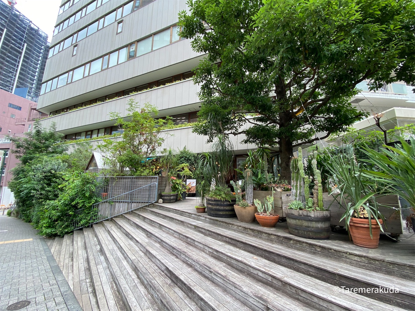 自然あふれる 大都会のオアシスカフェ@池袋駅 - 東京朝ごはん