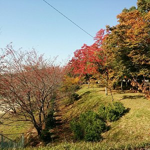 愛・パーク 瀬戸万博記念公園 をぐるっとお散歩モリコロに会える万博の跡地Masami Ikawa