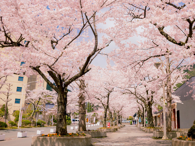 岩手県 花巻温泉郷の旅館 山の神温泉