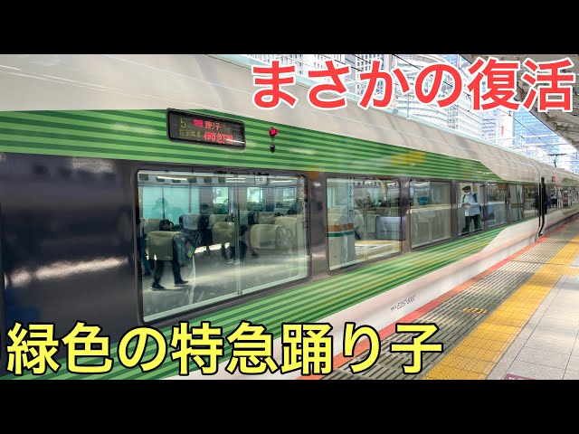 ☆鹿児島本線 撮影☆緑の気動車特急撮り: ツッチ～の☆Ｔｒａｉｎ Ｐｈｏｔｏ ｂｌｏｇ☆