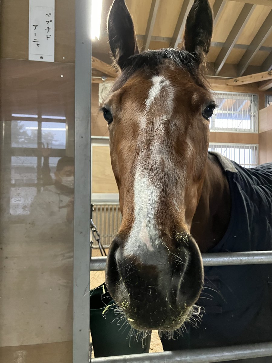 アーニャワクワク - Anya Wakuwaku -