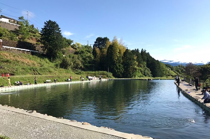 やま喜フィッシングセンターで娘と釣りデート 神奈川 金魚釣りを堪能TSURINEWS