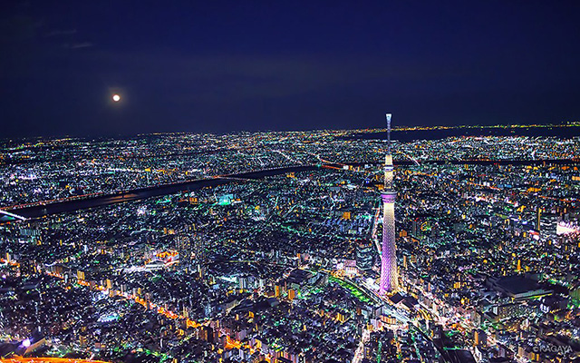 東京 大都会 夜景 写真素材7080571-