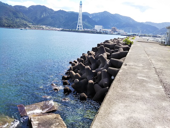 尾鷲港釣り 尾鷲 釣りABIYOSHI