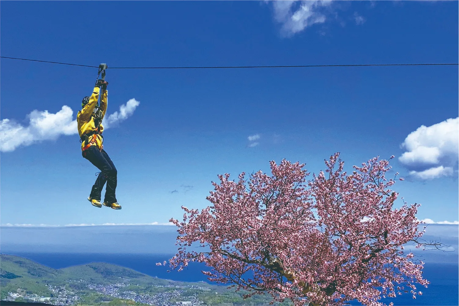 草津温泉スキー場で使えるクーポン一覧レジャーの割引クーポン ダレモ おでかけ