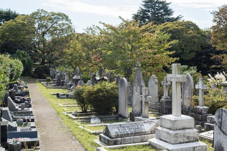 外国人墓地 ロシア人墓地 の写真素材24409396-