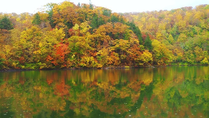 トレッキング 神仙沼・半月湖コース