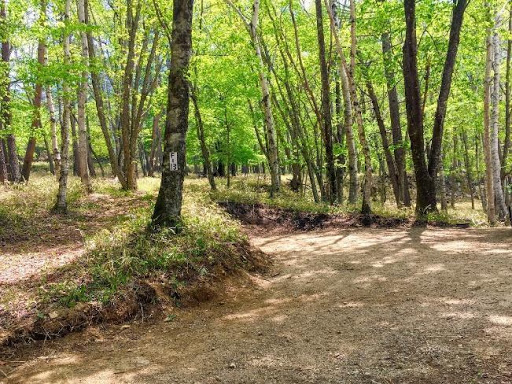 山梨県 涼しく過ごせるキャンプ場８選！選び方と押さえたいポイントも解説！ -