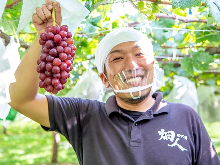 ワイン好き必見 勝沼のおしゃれワイナリー７選！帰りは高速バスで約2時間バスレポ