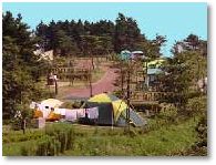 だるま山キャンプ場キャンプクエスト マップ