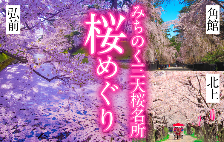 2025「みちのく三大桜名所」とは？ GWにお花見できる絶景名所に注目！いこーよとりっぷ