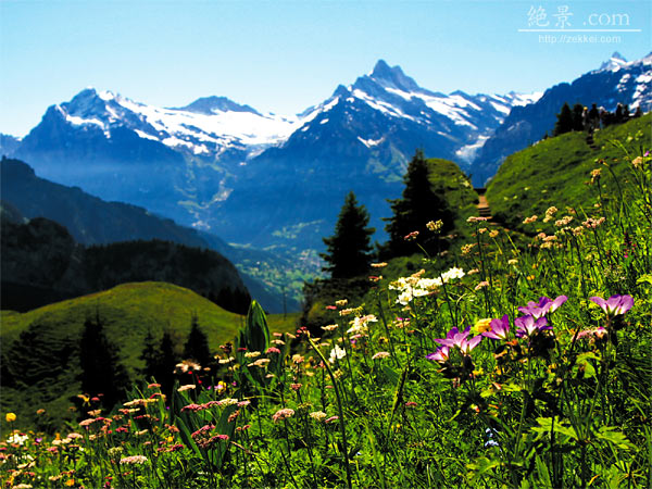 外国の風景「サントリーニ島・フィラの街」壁紙1920x1440 - 壁紙館