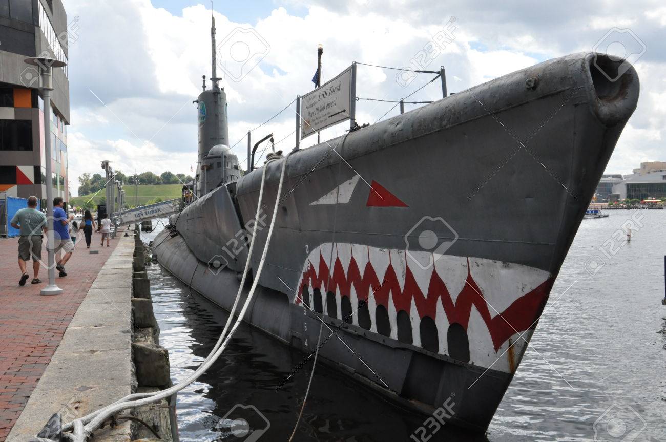 アリオ鳳様 AR水族館イベント - 実績紹介