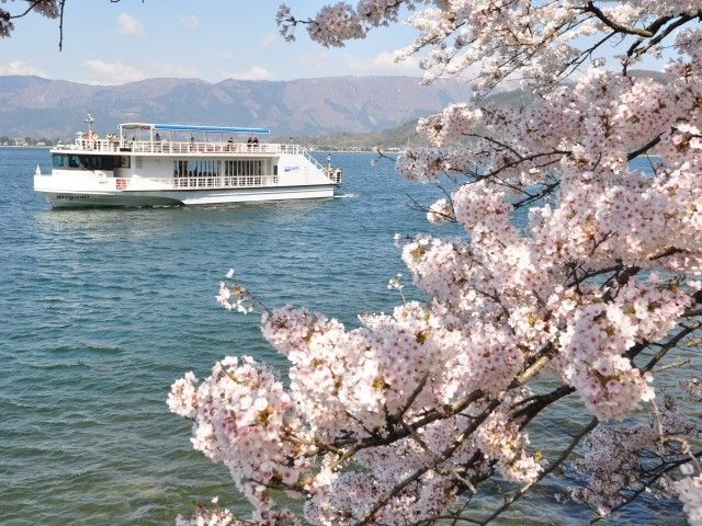 海津大崎の桜 アクセスや駐車場、見頃やお花見船情報などびわ湖周辺観光琵琶湖汽船