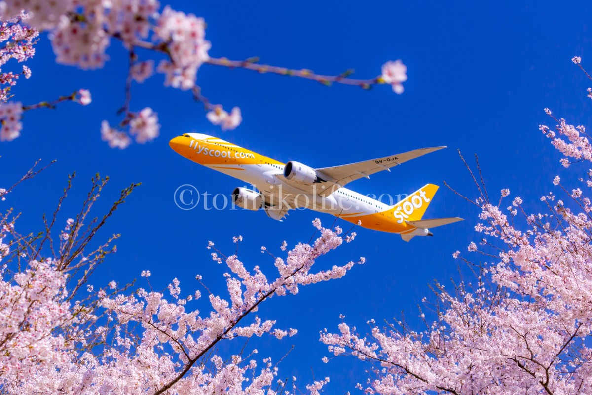 α7IIIレビュー 飛行機撮影の設定と撮影スポット情報