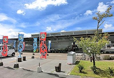 2025年 阿蘇スカイライン展望所 - 出発前に知っておくべきことすべて