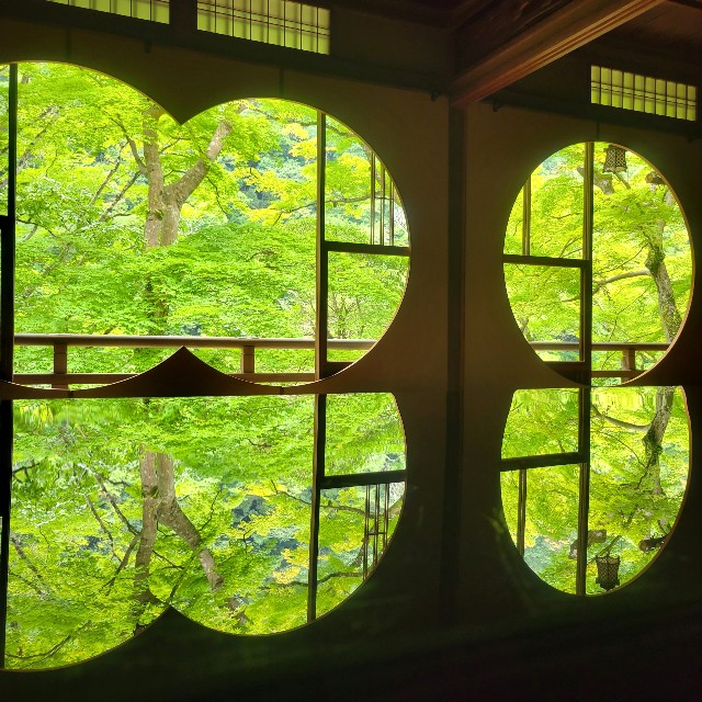 嵐山 祐斎亭のアクセス、駐車場、見どころ、写真撮影の注意事項などの観光情報 -