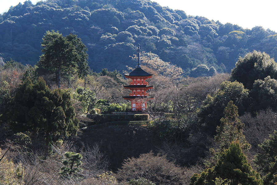 清水の舞台 .自殺の名所という言う不名誉な噂が流されていたので弁解すると、江戸時代に願掛け飛び降りの迷信が流行っていただけで実際にそれで死んだ人は1割程度らしい。そもそも人がいない時間は閉門されるので夜は 清水寺に入る手段がない。 「清水の舞台から
