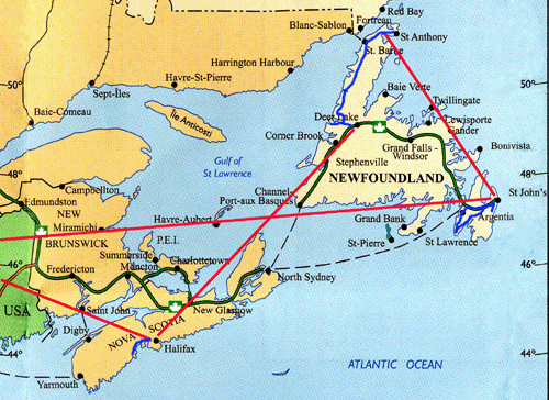 ニューファンドランドの特徴・性格 最新価格と飼い方いぬのきもち 犬図鑑いぬのきもちWEB MAGAZINE