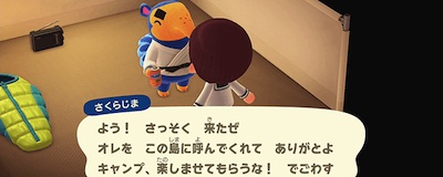 あつ森 湖のほとりのキャンプ場づくりキャンプサイト自然な形の川や湖の作り方5 島クリエイト- YouTube