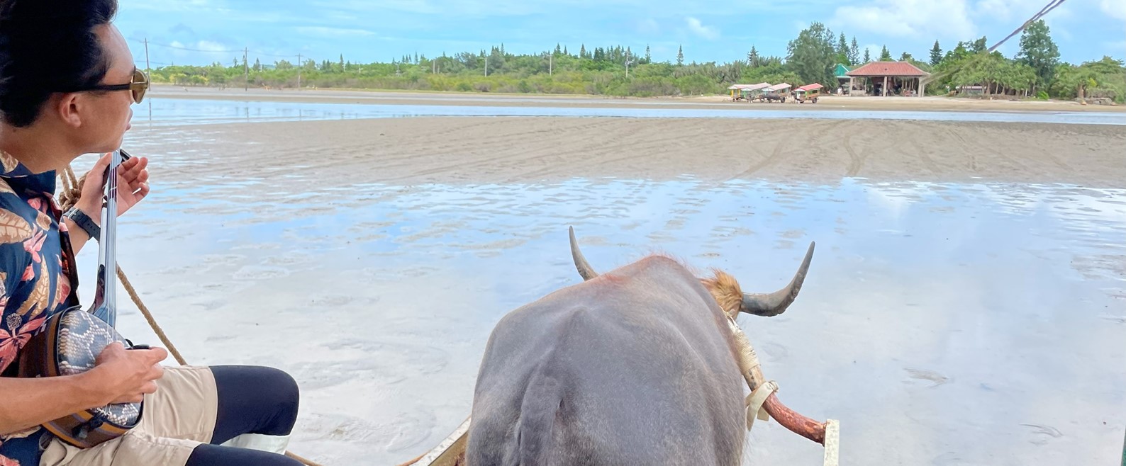 竹富島の水牛車観光は予約必要？料金・予約方法・所要時間を徹底解説！石垣島ツアーズ