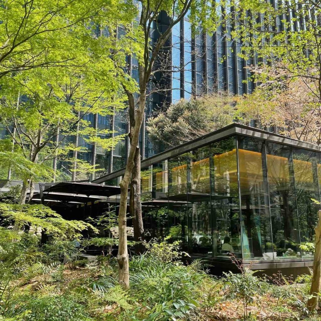 都会のオアシス〜大阪梅田のおすすめカフェあなたの人生をステージアップする垢抜けファッションコーデ提案