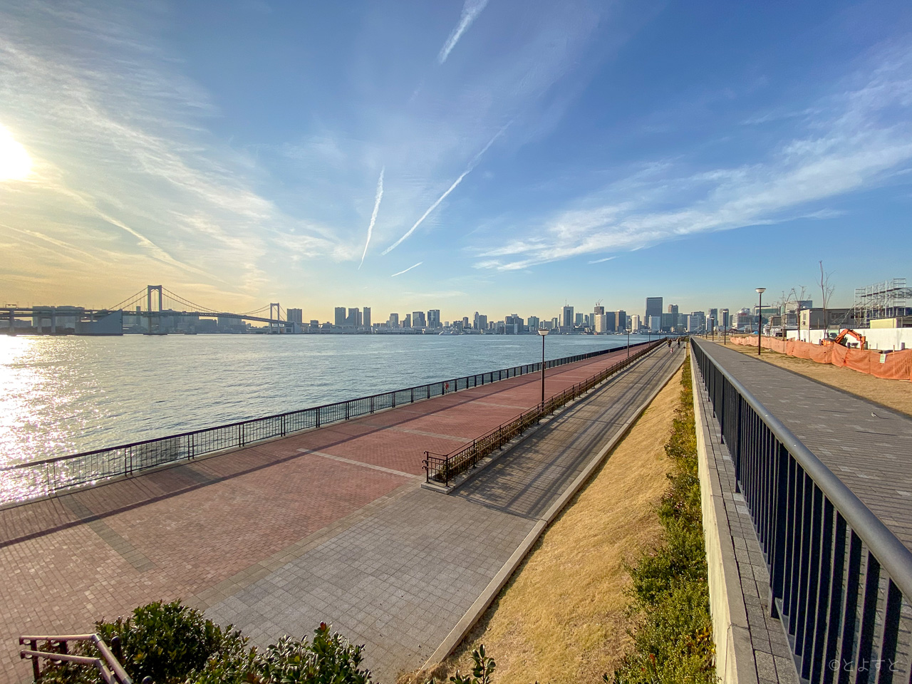 豊洲ぐるり公園での写真撮影の魅力