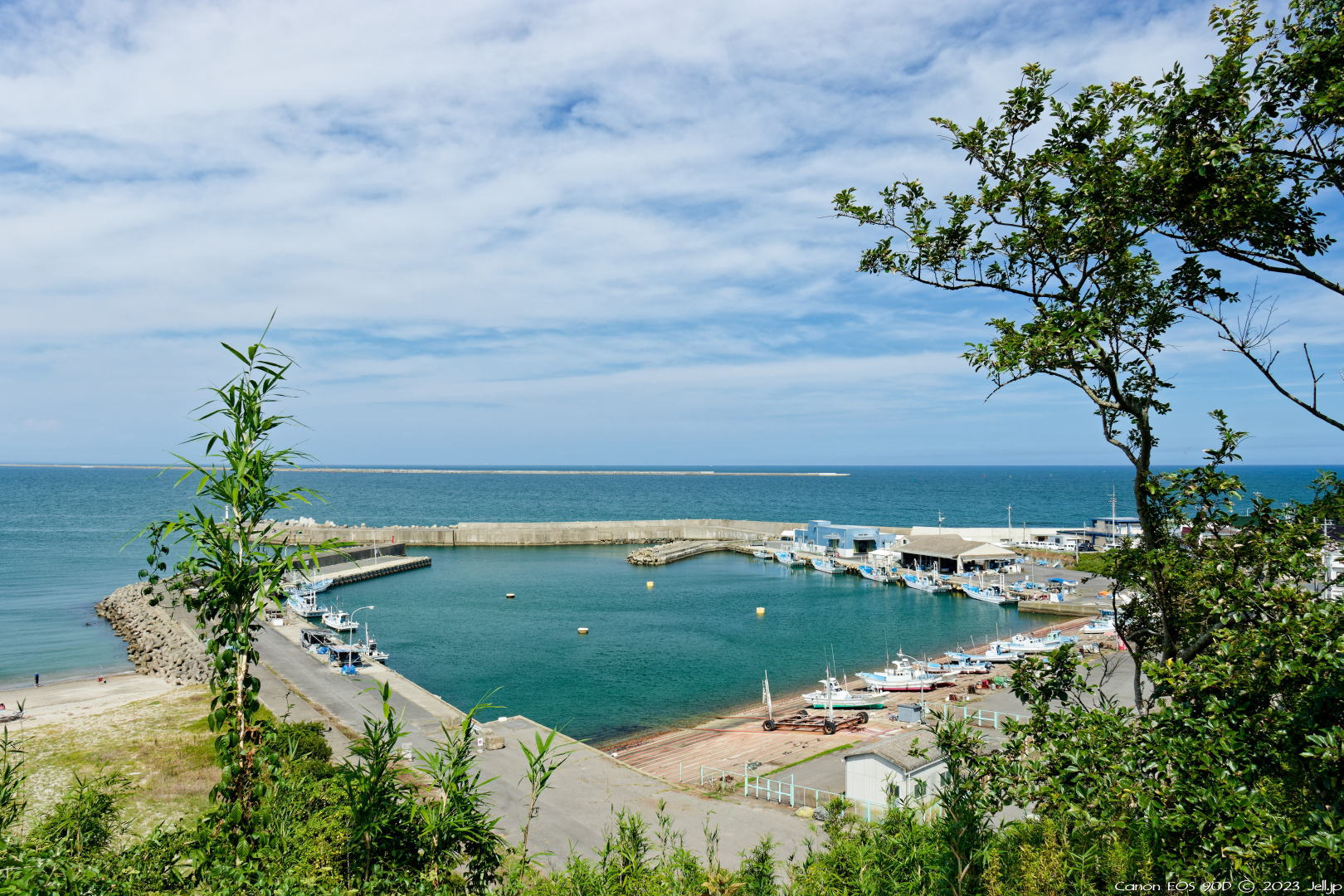 茨城 樹々の呼吸を感じる樹叢のトンネル 酒列磯前神社 :