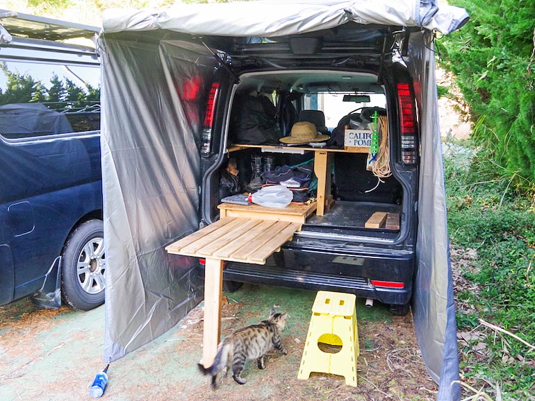 バックドアタープ