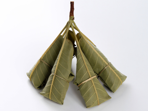 木曽南部森林組合木曽移住定住ポータルサイトKISO KURASHiわたしらしく くらすしあわせ