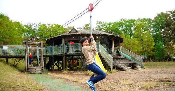 船橋市運動公園プールが7 17リニューアルオープン 現地レポート鎌ケ谷船橋あたり