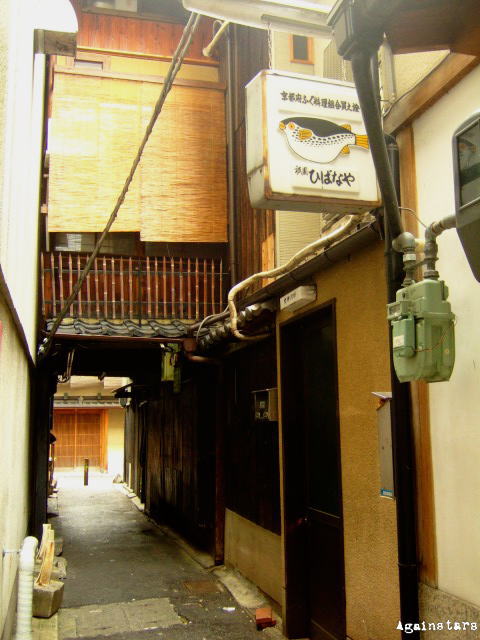 祇園にある居酒屋 京 ～miyako～