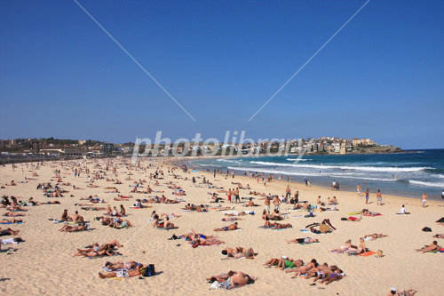 ボンダイビーチ」の写真素材143件の無料イラスト画像Adobe Stock