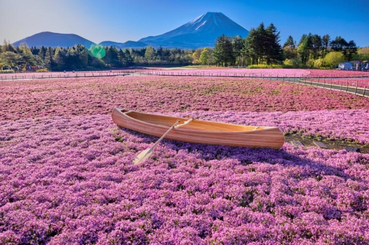 富士山ライブカメラ-本栖湖千円札