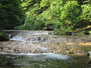 二口キャンプ場キャンプ場検索サイト hinata スポット