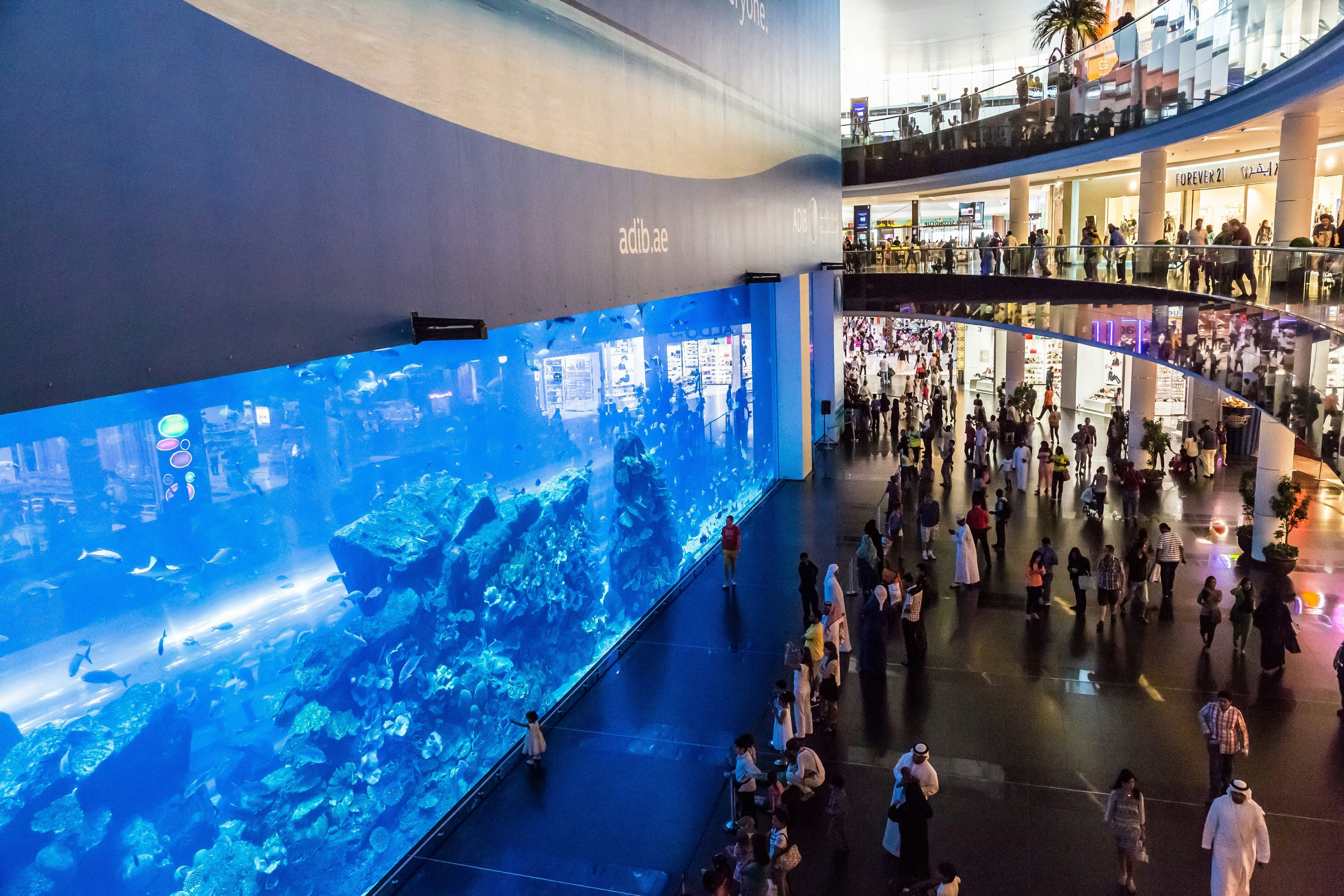 ドバイ水族館」で見つけたおすすめのお土産をご紹介します 現地レポート海外お土産タイムズ