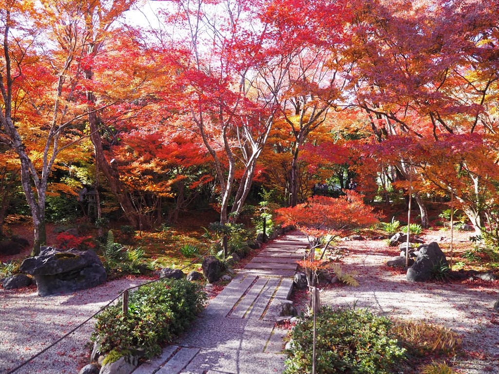 宝筐院 アクセス・営業時間・料金情報 - じゃらんnet