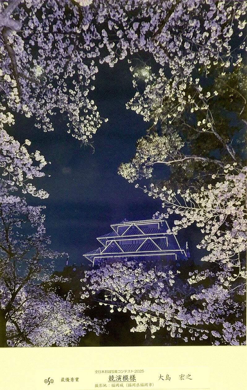 日本の城フォトコンテスト.02城写真と知的旅なら日本の旅侍