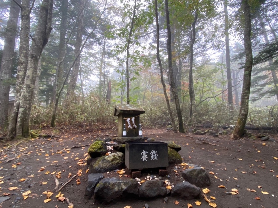 Woof woof UᵔᴥᵔUさんの投稿 新屋山神社奥宮ことりっぷ