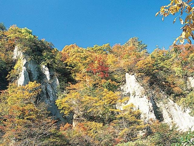 鳴子峡 観光TikTok