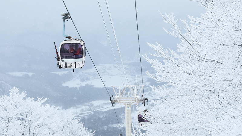 長野県のスキー場 リフト券付き格安宿泊パック レンタル無料も！│スキー市場