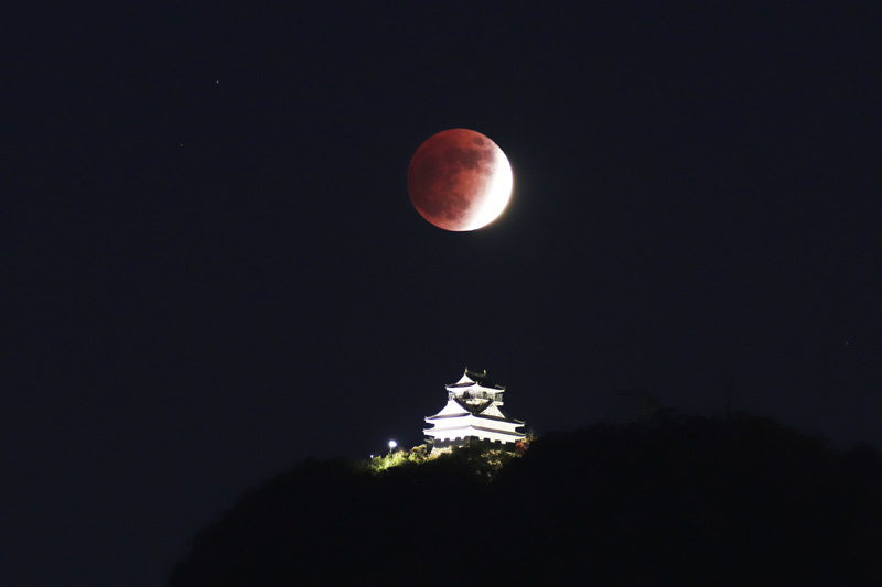 誰も教えてくれない「岐阜城と月」撮影ポイント📸最後はiPhone撮影チャレンジ📱🏯🌕フォロ待ってますTrip.com 岐阜