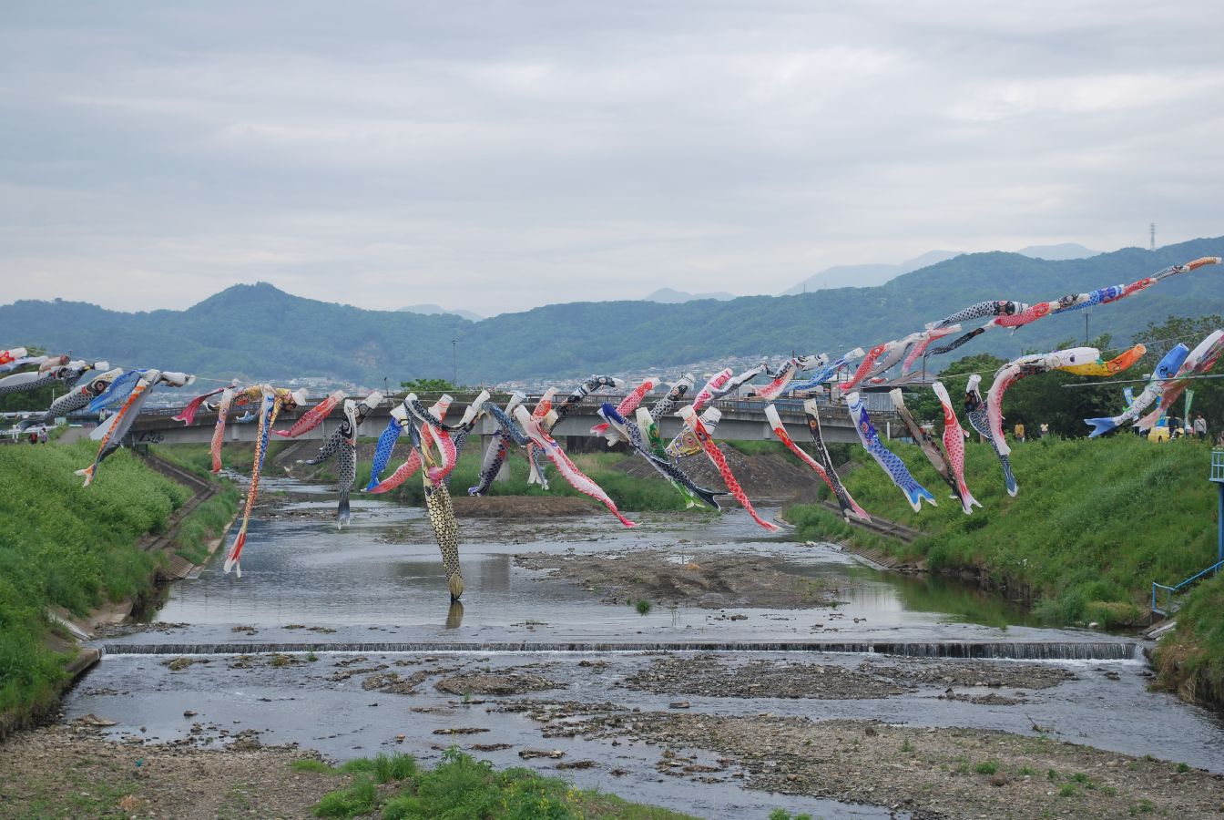 神奈川県平塚市「鈴川鯉のぼりまつり」でマンチェスター・シティの鯉のぼりが泳ぐ！ スポーツナビ yahooお知らせ沼津市でホームページ制作なら株式会社 オフィスグル