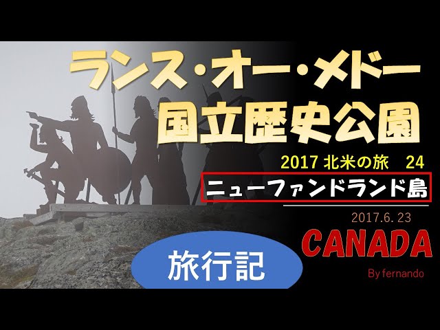 ニューファンドランド 性格・飼い方・病気・寿命・子犬などの特徴全て犬の図鑑