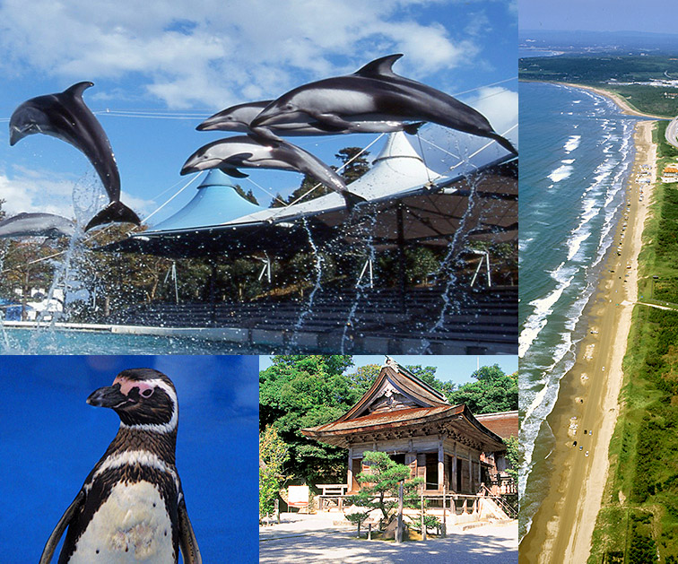 和倉・七尾の観光スポットランキングTOP10 - じゃらんnet