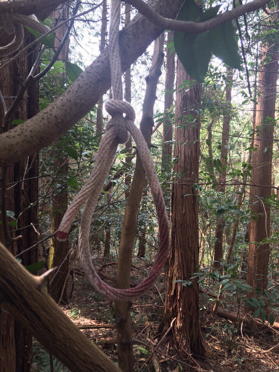 樹海の落とし物🌿 いつかの想いの宿るものたち。 全て一点もののアクセサリーになります